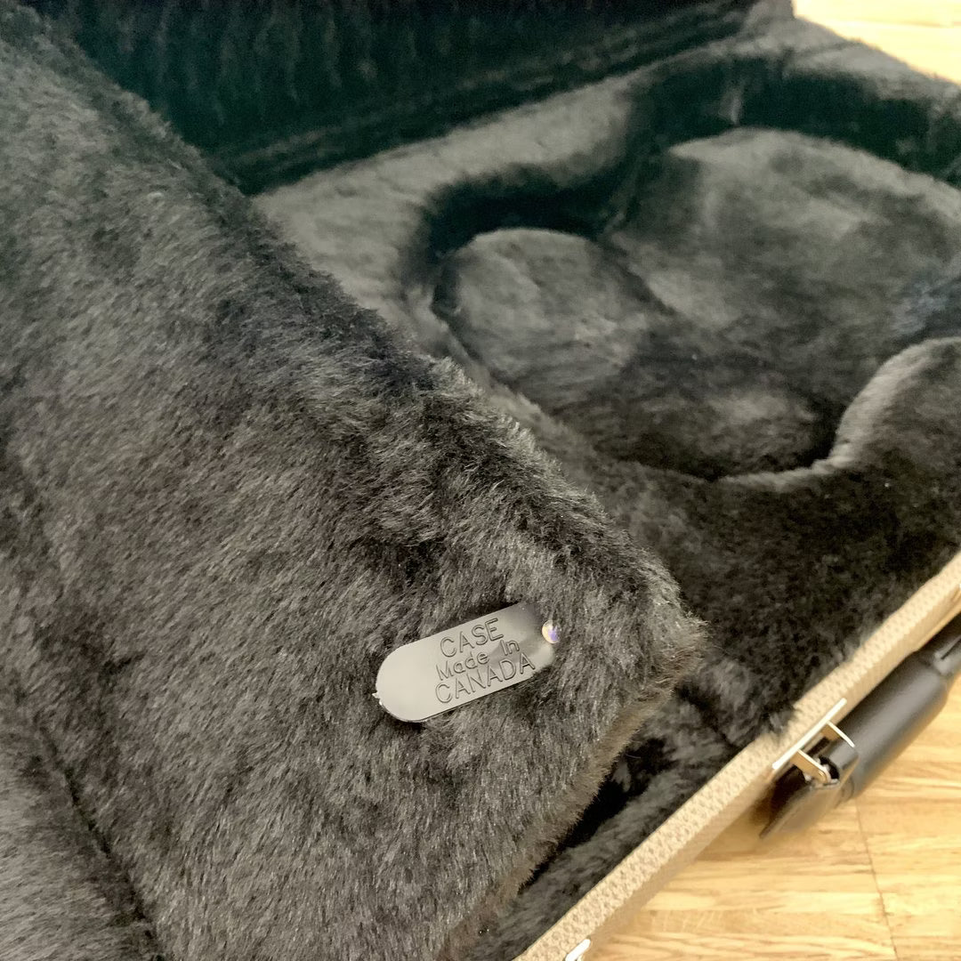 Guitar Case - Dolphin Model