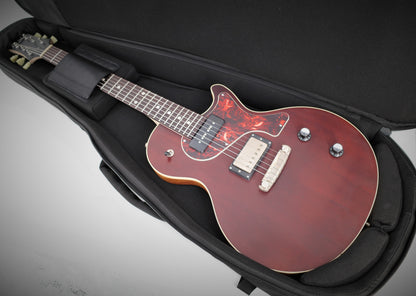 Premium Padded Gig Bag
