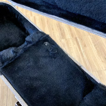 Guitar Case - Rietbergen Model